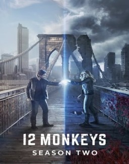 12 Monkeys