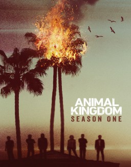 Animal Kingdom staffel 1