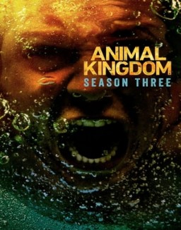 Animal Kingdom staffel 3