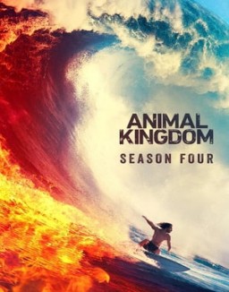 Animal Kingdom staffel 4