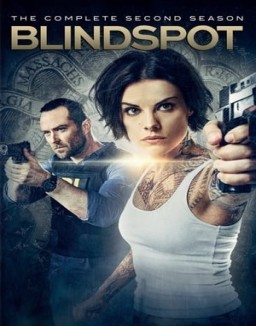 Blindspot staffel 2