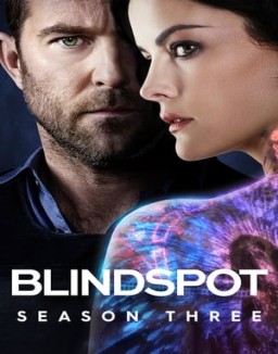 Blindspot staffel 3