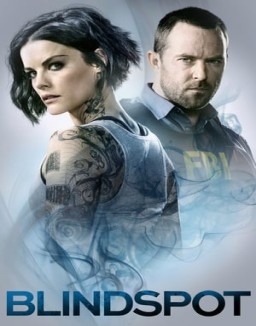 Blindspot staffel 4