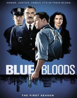 Blue Bloods staffel 1