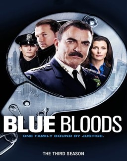 Blue Bloods staffel 3