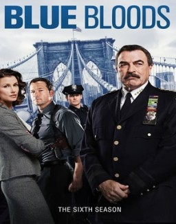 Blue Bloods staffel 6