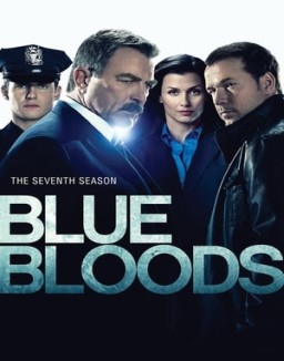 Blue Bloods staffel 7