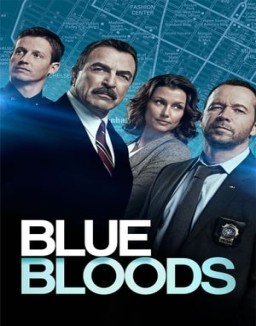 Blue Bloods staffel 8