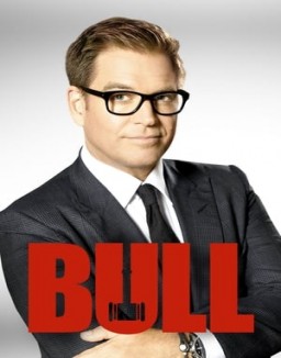 Bull staffel 1