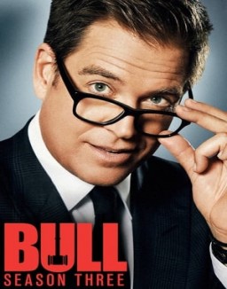 Bull staffel 3