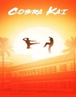 Cobra Kai staffel 1