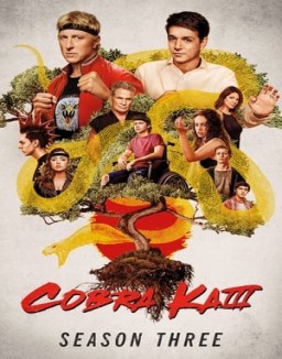 Cobra Kai staffel 3