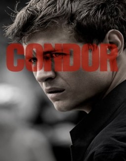 Condor staffel 1