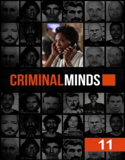 Criminal Minds staffel 11