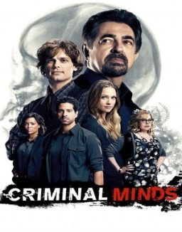 Criminal Minds staffel 12