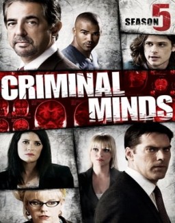 Criminal Minds staffel 5