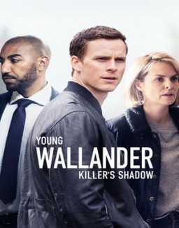 Der junge Wallander staffel 1