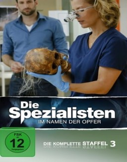 Die Spezialisten – Im Namen der Opfer staffel 3