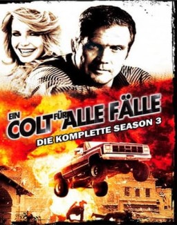 Ein Colt für alle Fälle