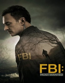 FBI: Most Wanted staffel 1