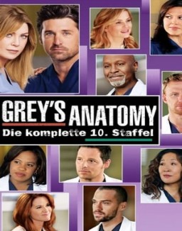 Grey's Anatomy staffel 10