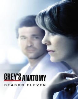 Grey's Anatomy staffel 11