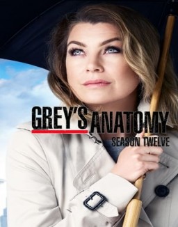 Grey's Anatomy staffel 12