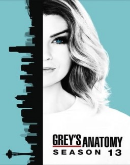 Grey's Anatomy staffel 13