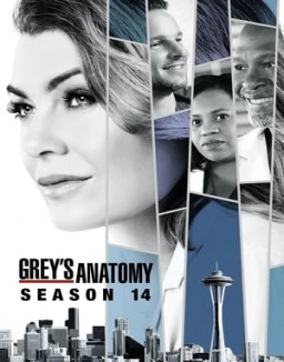 Grey's Anatomy staffel 14