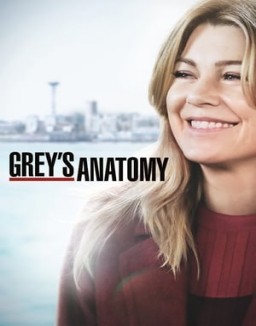 Grey's Anatomy staffel 15