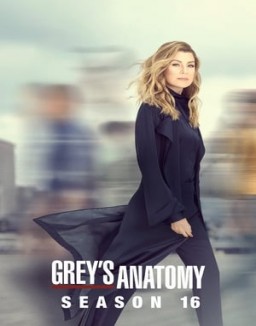 Grey's Anatomy staffel 16