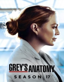 Grey's Anatomy staffel 17