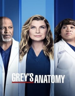 Grey's Anatomy staffel 18