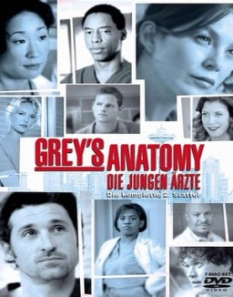 Grey's Anatomy staffel 2