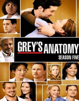 Grey's Anatomy staffel 5