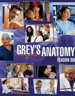 Grey's Anatomy staffel 6