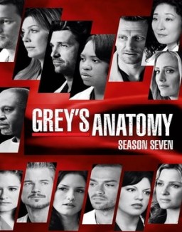 Grey's Anatomy staffel 7