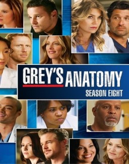 Grey's Anatomy staffel 8