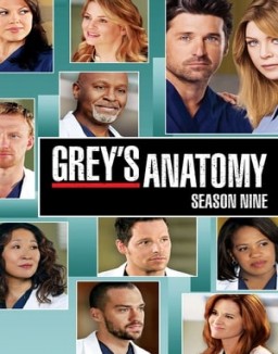 Grey's Anatomy staffel 9