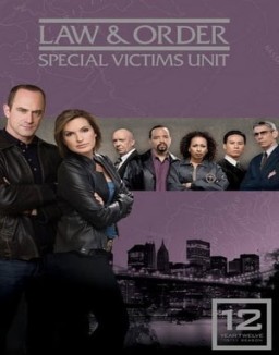 Law & Order: Special Victims Unit staffel 12