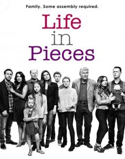 Life in Pieces