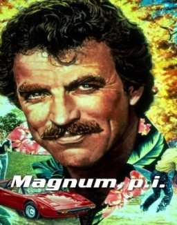 Magnum staffel 1