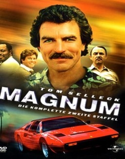 Magnum staffel 2