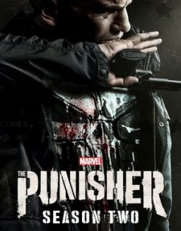 Marvel's The Punisher