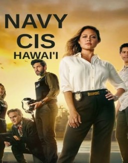 Navy CIS: Hawaii staffel 1