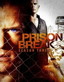 Prison Break staffel 3