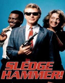 Sledge Hammer! staffel 1