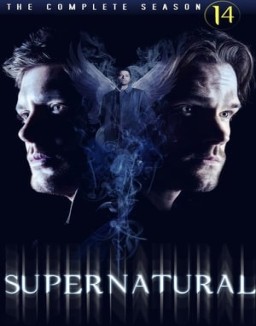 Supernatural staffel 14