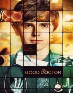 The Good Doctor staffel 1