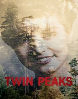 Twin Peaks staffel 1